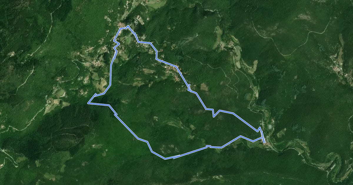 Маршрут Le chemin de Frayssinet на спутниковом снимке
