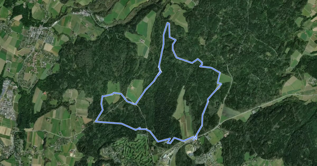 Маршрут Le chemin des fontaines des Bois du Jorat на спутниковом снимке