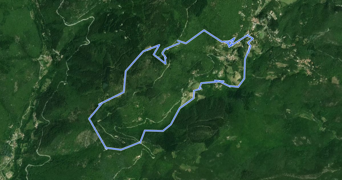 Маршрут Le chemin du Salet на спутниковом снимке