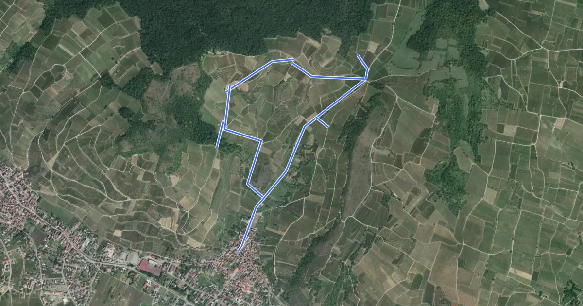 Маршрут Le circuit des Croix de Chemin на спутниковом снимке