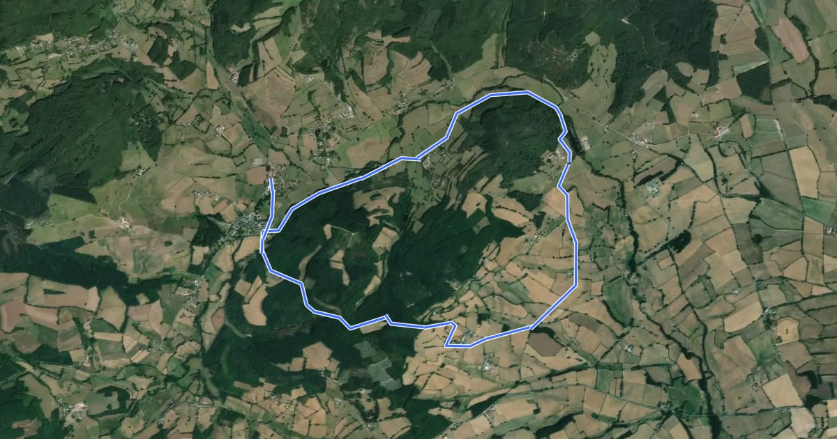 Маршрут Le circuit du Grand Vernay на спутниковом снимке