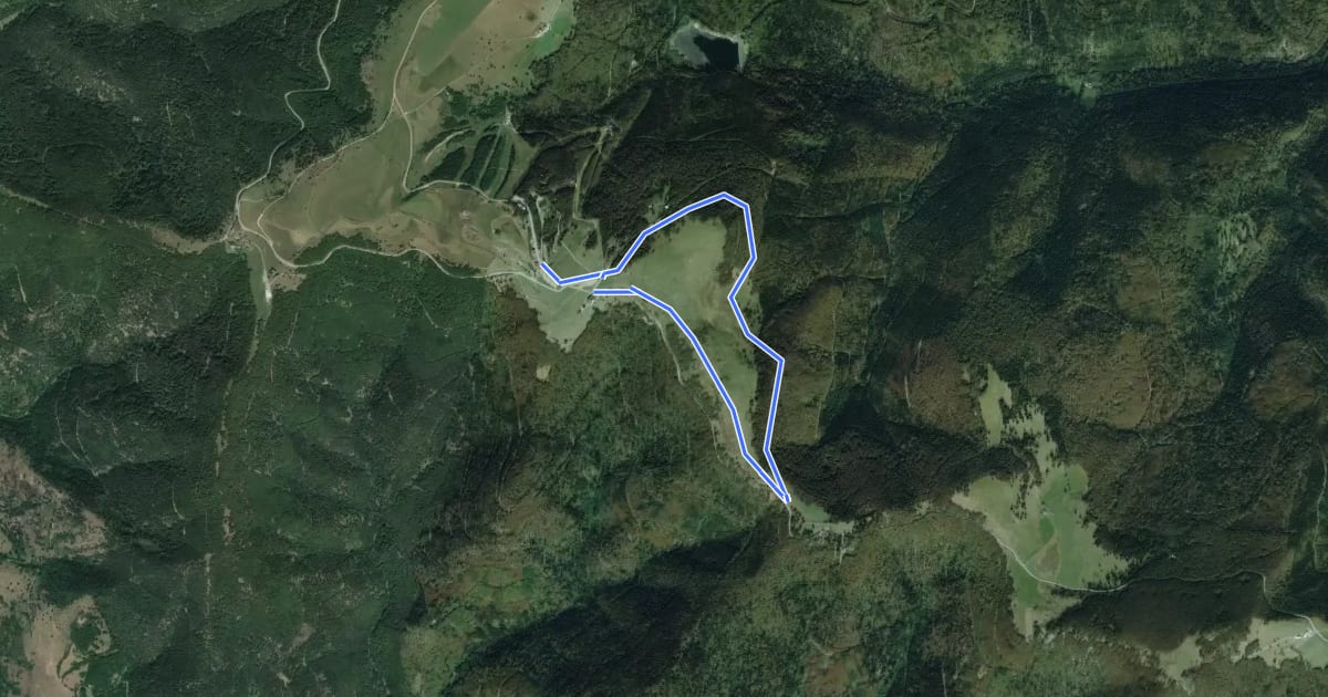 Маршрут Le Circuit du Hofried на спутниковом снимке