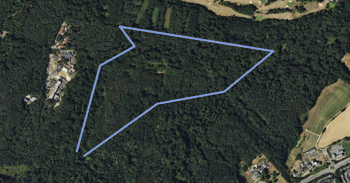 Маршрут Le circuit Forêt на спутниковом снимке