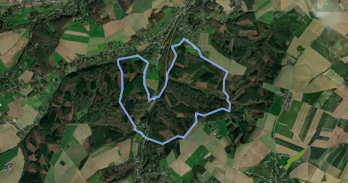 Маршрут Le coureur des bois на спутниковом снимке