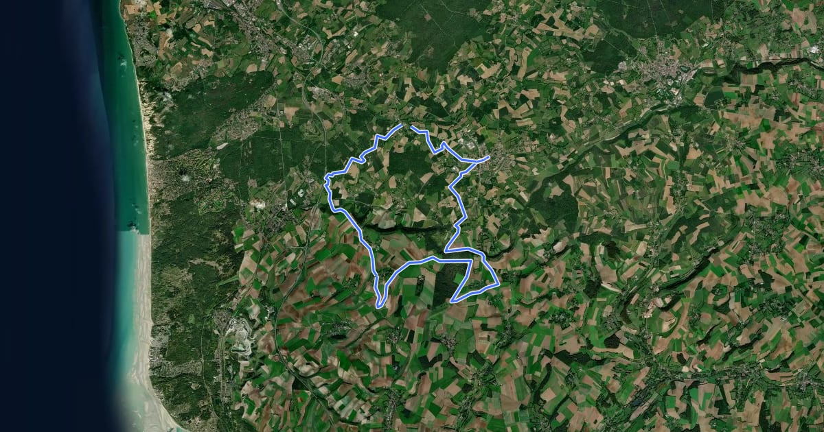 Маршрут Le Haut Pichon на спутниковом снимке