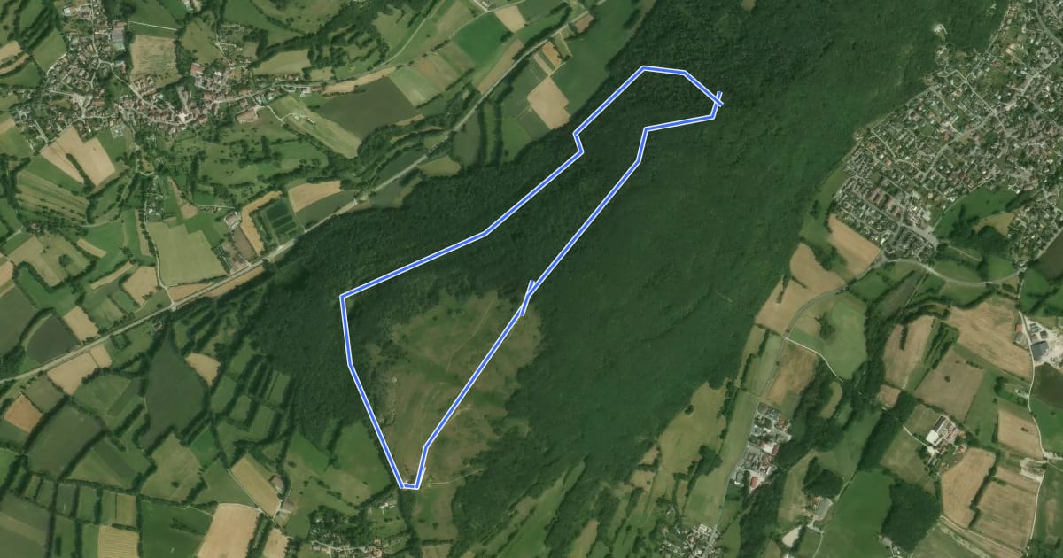 Маршрут Le Mont-Mourex на спутниковом снимке