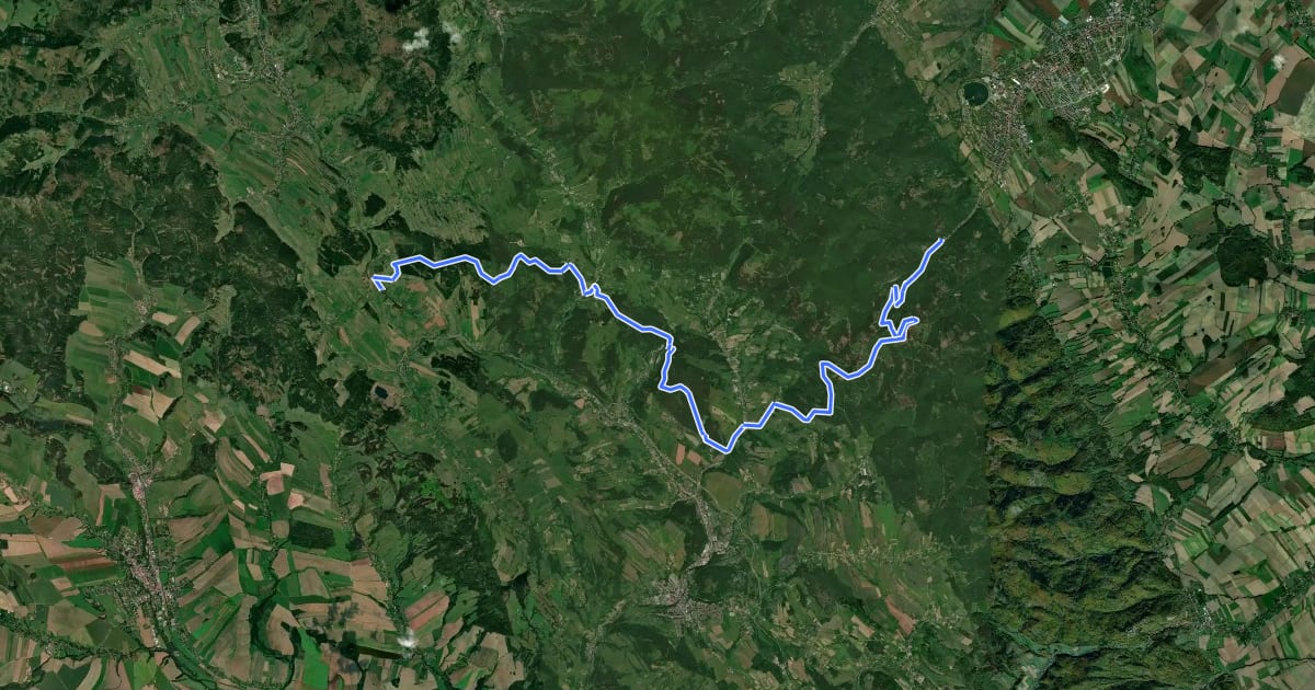 Маршрут Leśny Dworek – Bartnica (stacja kolejowa) на спутниковом снимке