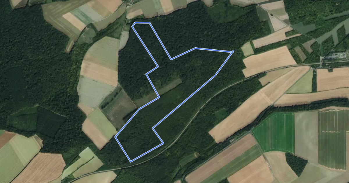 Маршрут Le Parcours du Chevreuil на спутниковом снимке