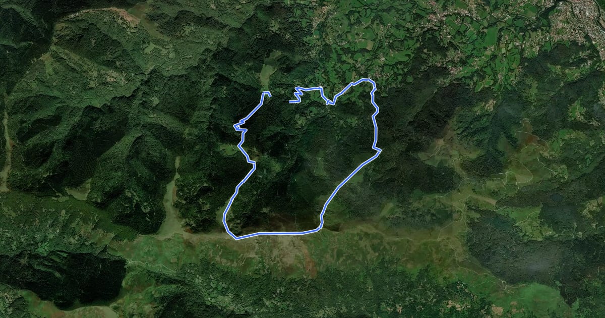 Маршрут Le Picou depuis Brassac на спутниковом снимке