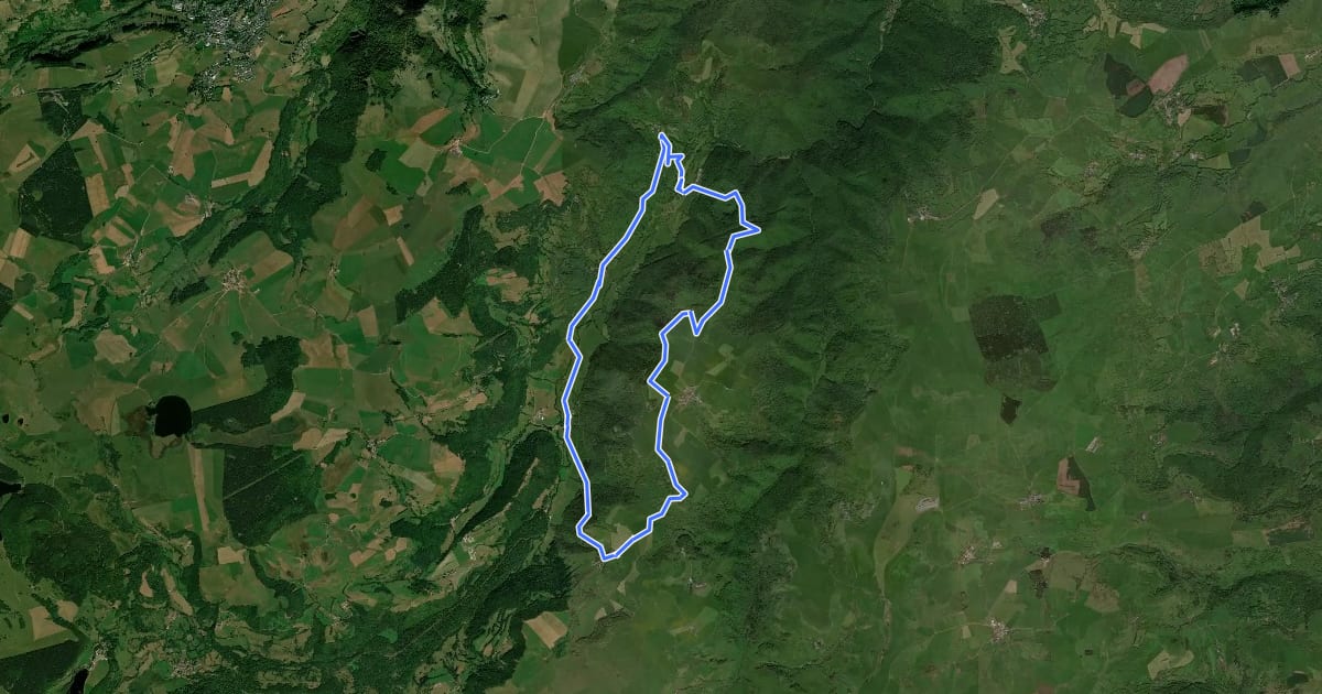 Маршрут Le Plateau de la Chavade et la Roche Nite на спутниковом снимке