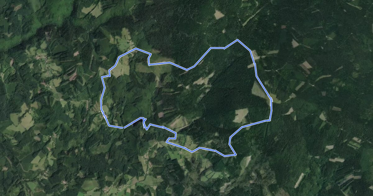 Маршрут Le Puy de Montoncel на спутниковом снимке