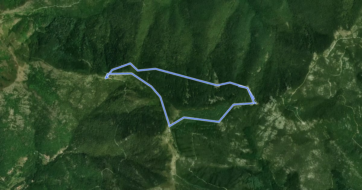 Маршрут Le rocher de l'Aigle на спутниковом снимке