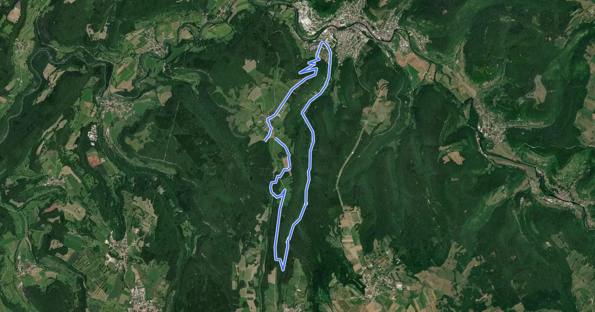 Маршрут Le Saut de la Bonneille на спутниковом снимке