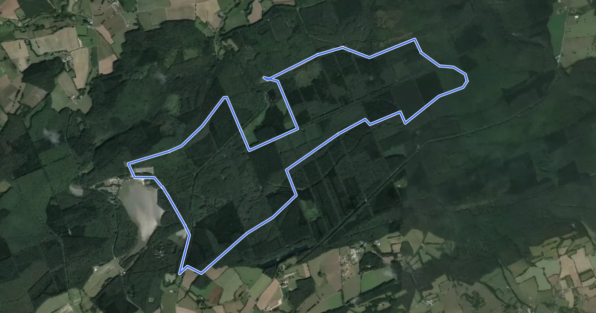 Маршрут Le Saut du Cerf - Circuit n°7 - Base VTT FFCT de Sillé-le-Guillaume на спутниковом снимке