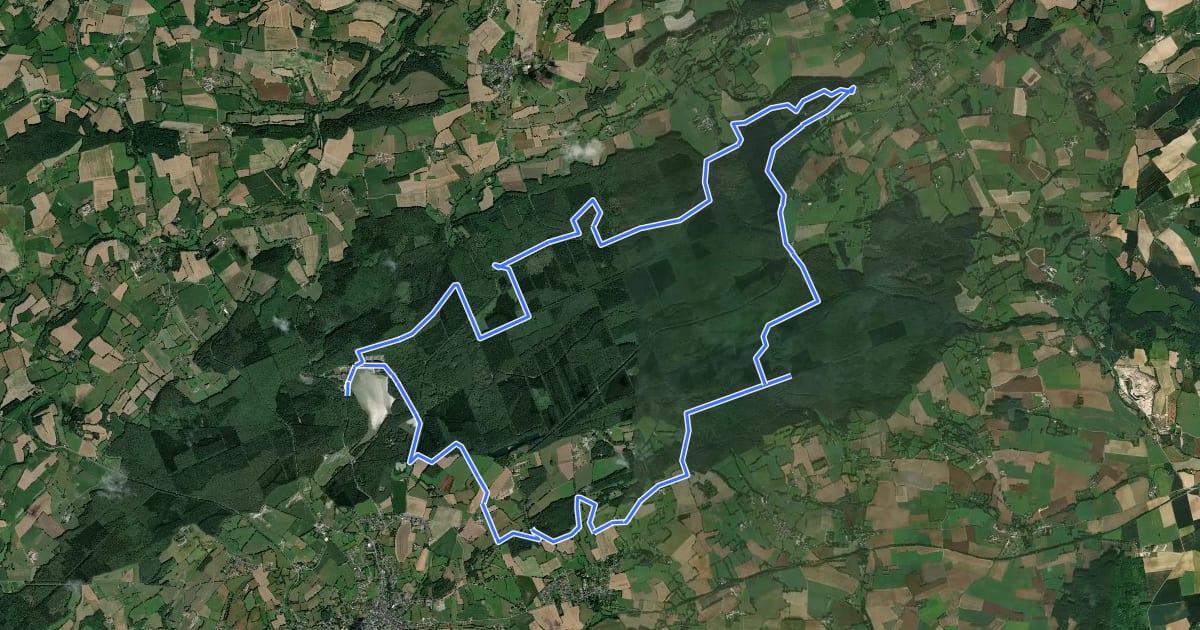 Маршрут Le Saut du Cerf - Circuit n°9 - Base VTT FFCT de Sillé-le-Guillaume на спутниковом снимке