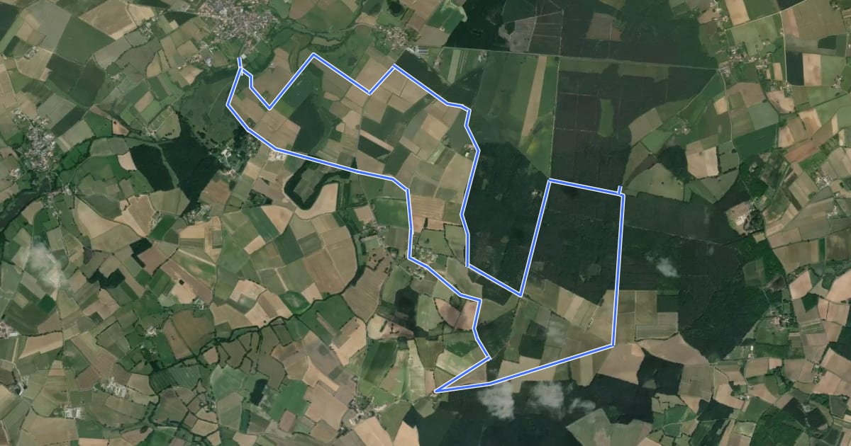 Маршрут Le sentier de la forêt на спутниковом снимке