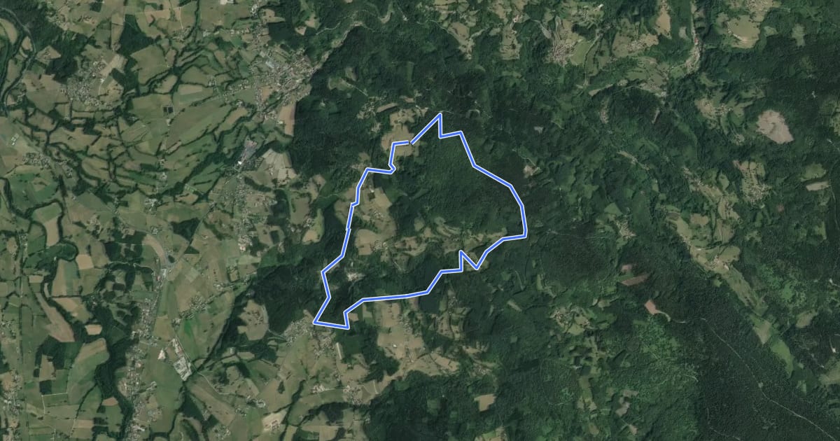Маршрут Le Sentier de la Vaisse на спутниковом снимке