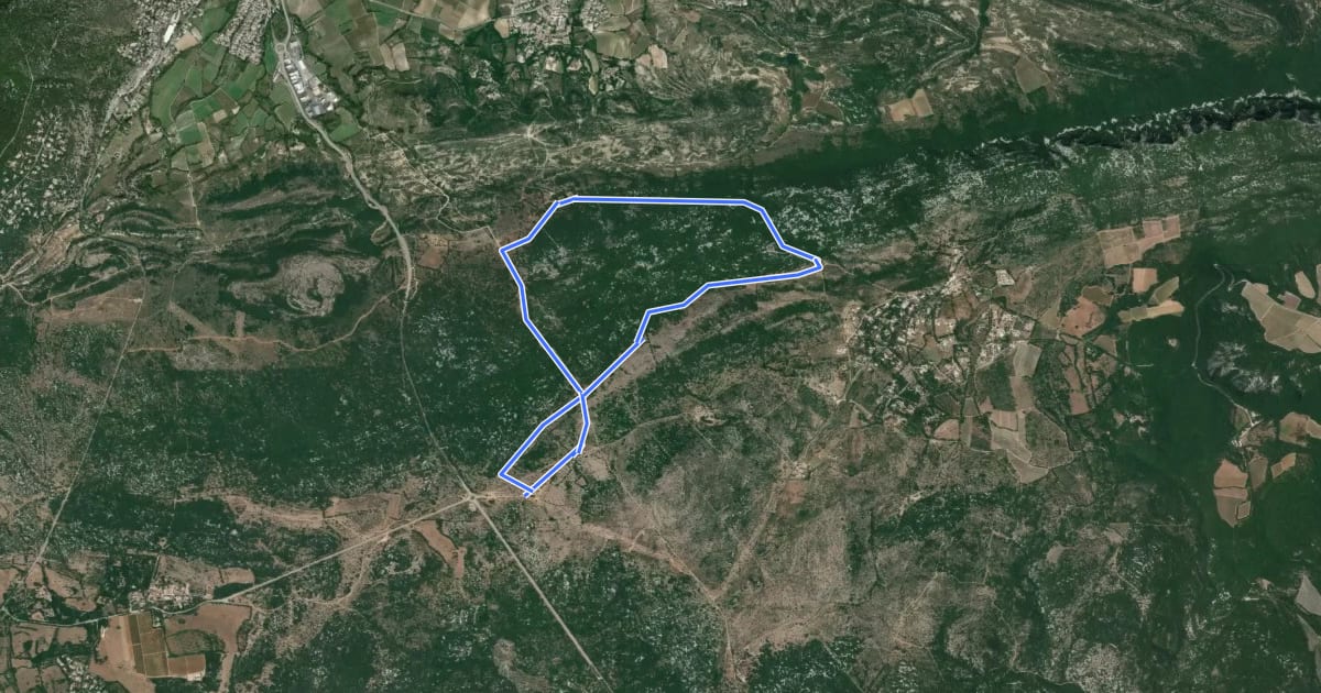 Маршрут Le sentier de Sauzet на спутниковом снимке