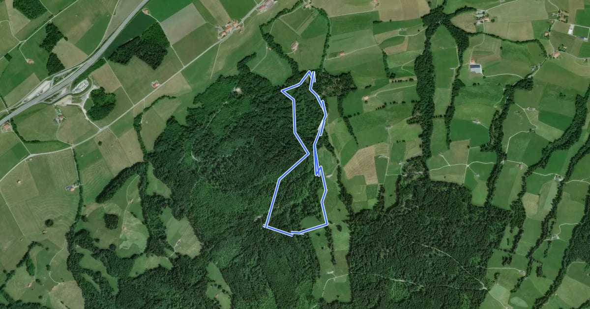 Маршрут Le sentier des Tsèrotons на спутниковом снимке