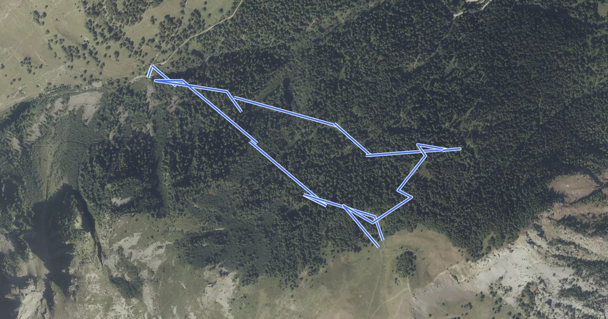 Маршрут Le sentier du Gros Mélèze на спутниковом снимке