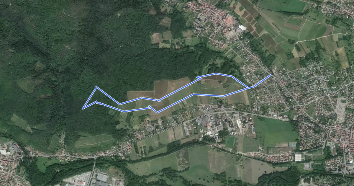 Маршрут Le sentier viticole "Cote 425" на спутниковом снимке