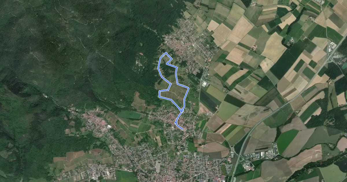 Маршрут Le sentier viticole coteaux du Vieil-Armand на спутниковом снимке