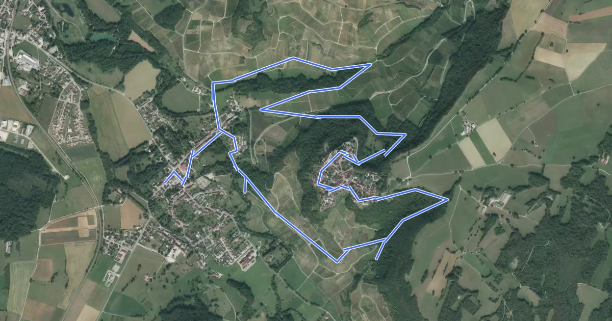 Маршрут Le tour de Château-Chalon на спутниковом снимке