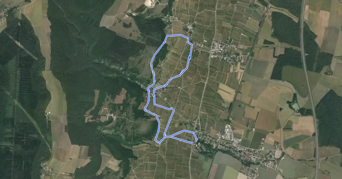 Маршрут Le Tour de Clos Vougeot на спутниковом снимке