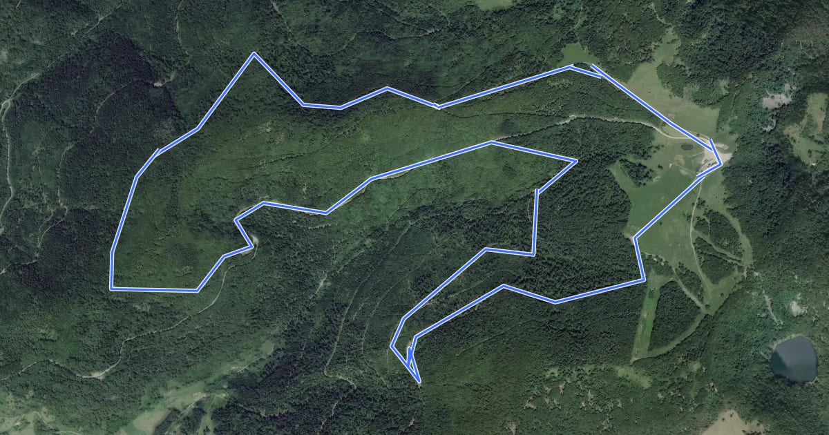 Маршрут Le tour des Bleuets на спутниковом снимке