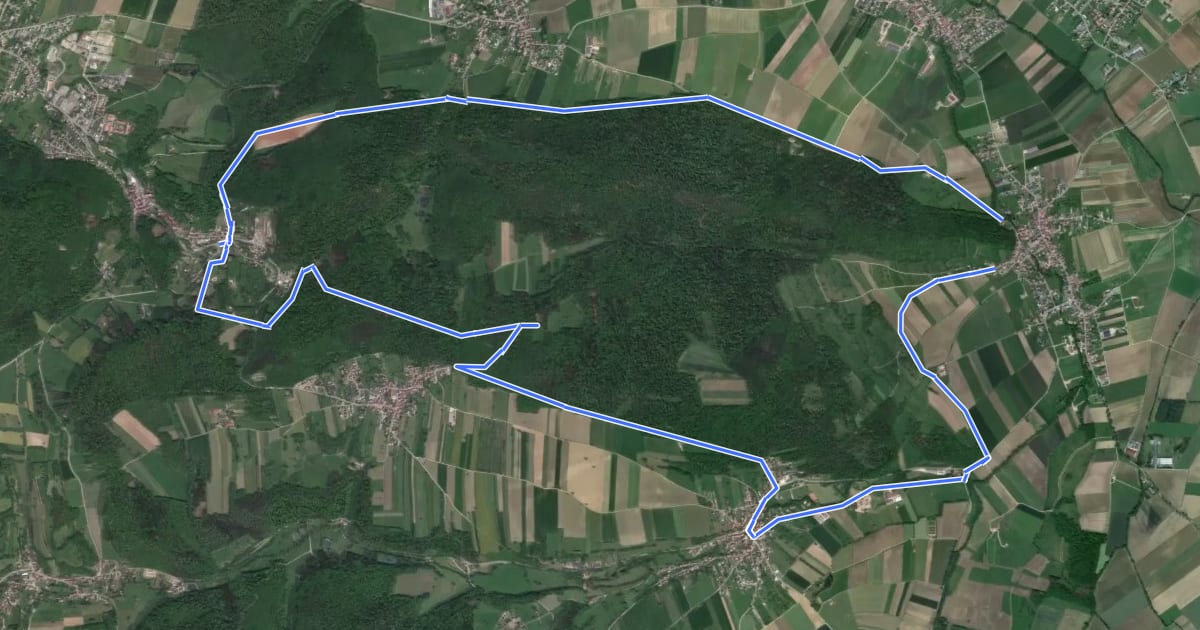 Маршрут Le tour du Bergwald на спутниковом снимке