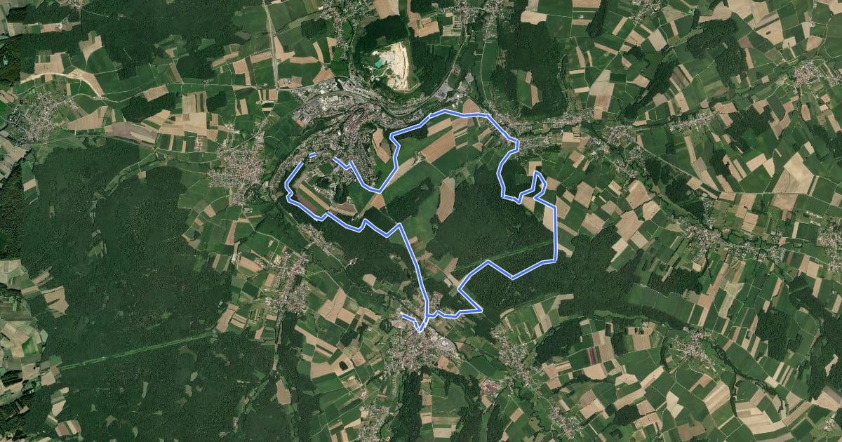 Маршрут Le tour du Buergerwald на спутниковом снимке