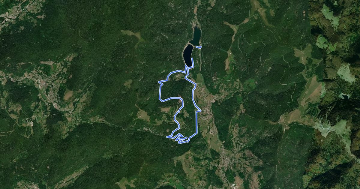 Маршрут Le tour du Frentz на спутниковом снимке