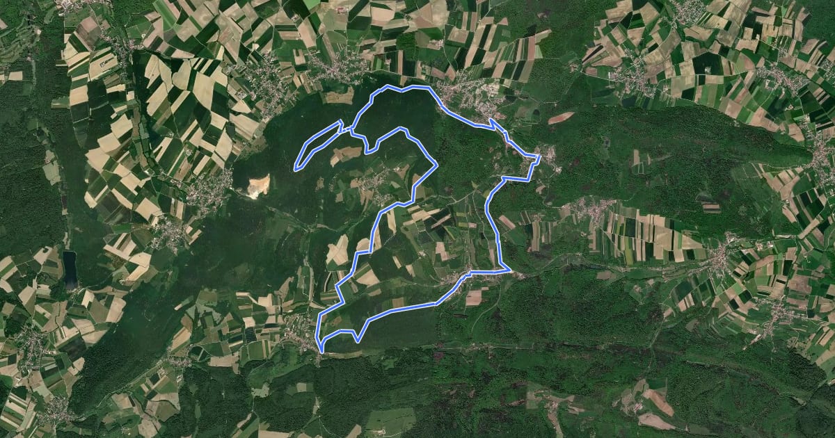 Маршрут Le tour du Rossberg на спутниковом снимке
