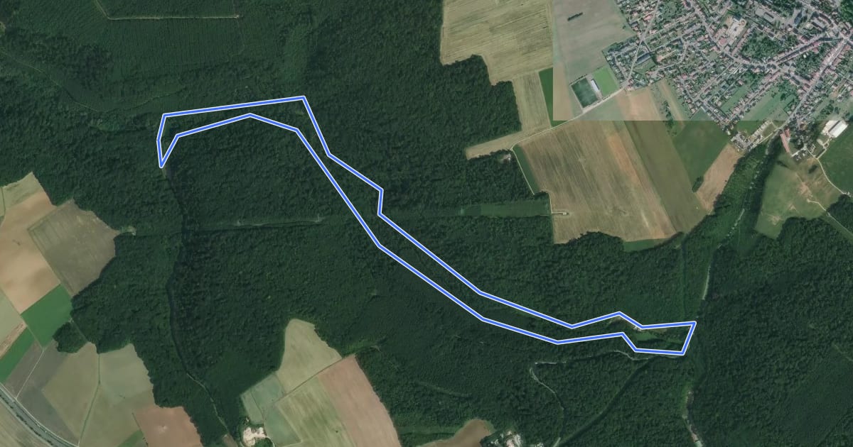 Маршрут Le Vallon de la Moulaine на спутниковом снимке