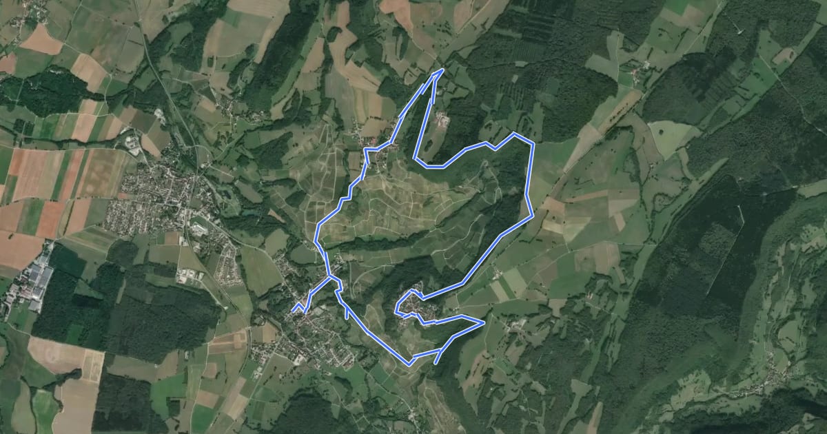 Маршрут Le vignoble на спутниковом снимке