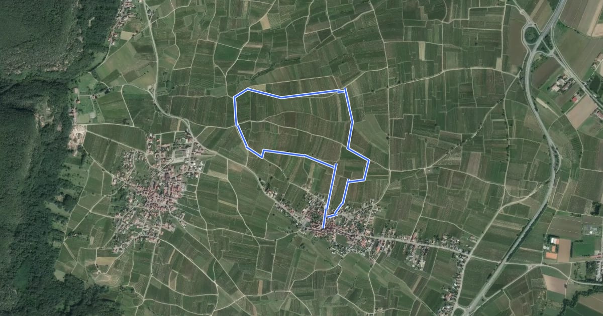 Маршрут Le Vignoble du Bildstoeckle на спутниковом снимке