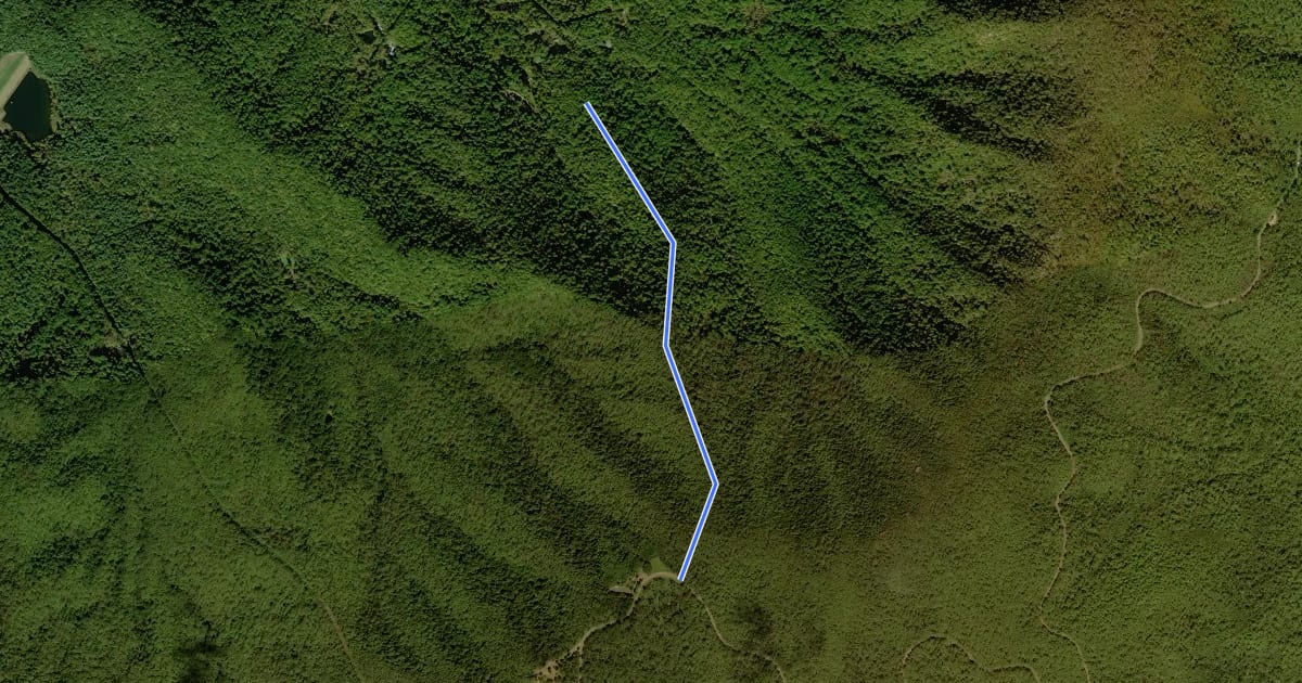 Маршрут Leading Ridge Trail на спутниковом снимке