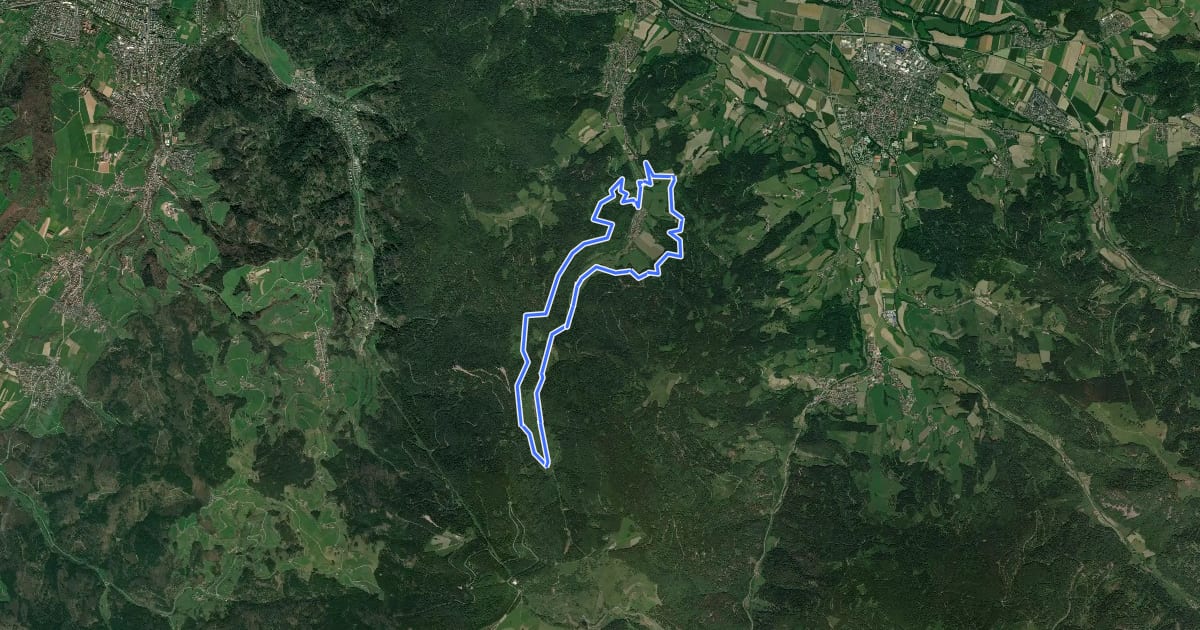 Маршрут Lebensraum Freiburg-Kappel - Großer Rundweg на спутниковом снимке