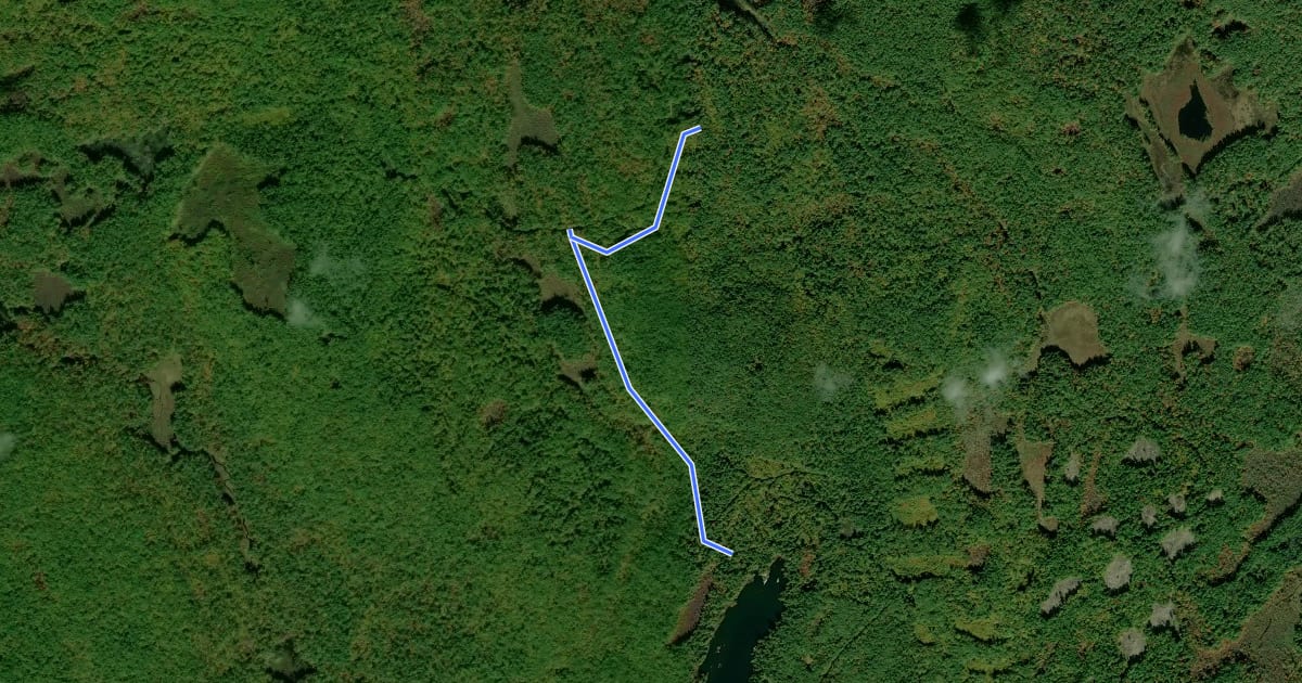 Маршрут Ledge Trail на спутниковом снимке