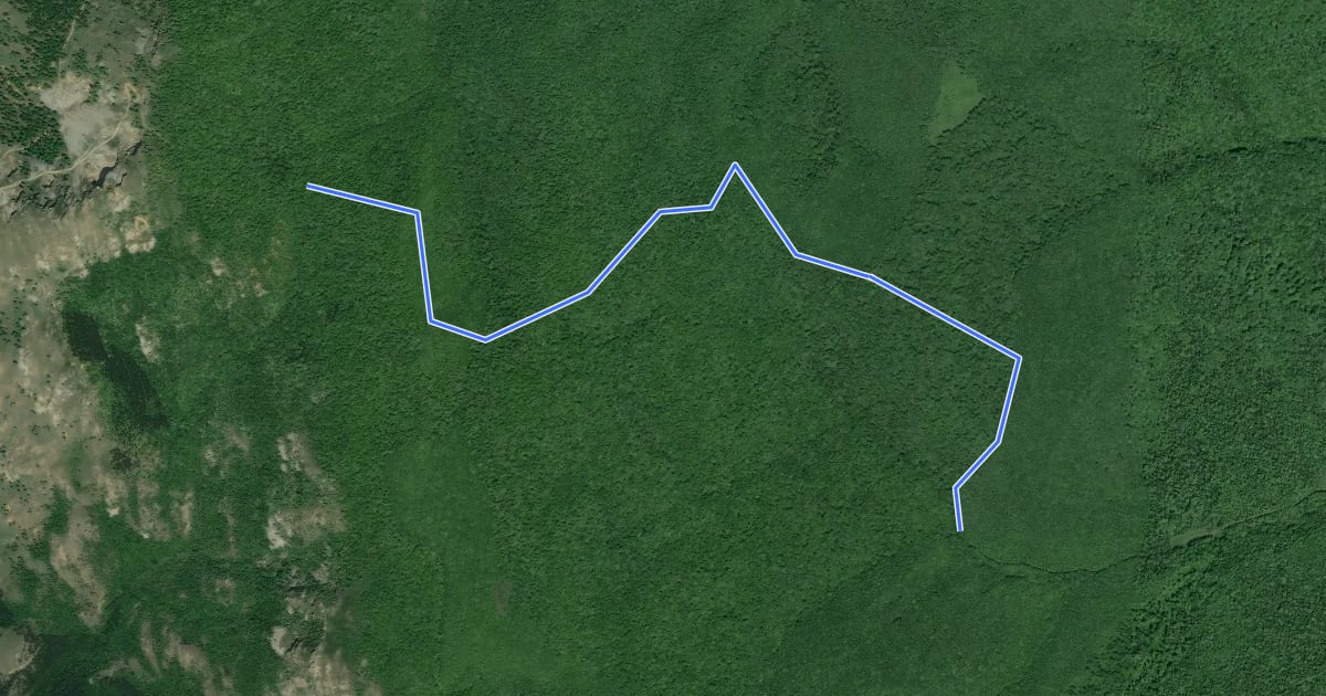 Маршрут Legătură Dealul cu Drum - Țuțuiatu на спутниковом снимке