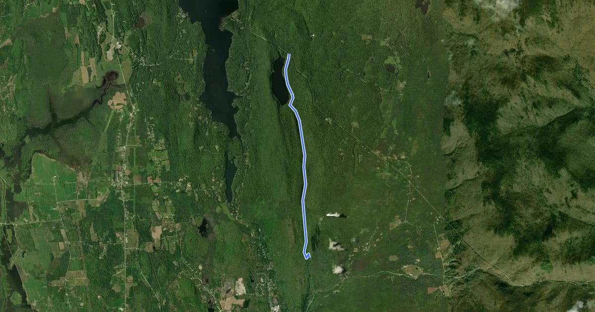 Маршрут Leicester Hollow Trail на спутниковом снимке