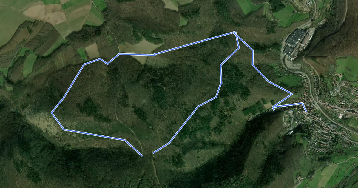 Маршрут Leienbergweg на спутниковом снимке