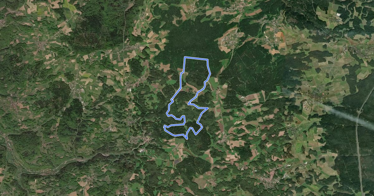 Маршрут Leienfels Rundweg Schwarzer Ring на спутниковом снимке