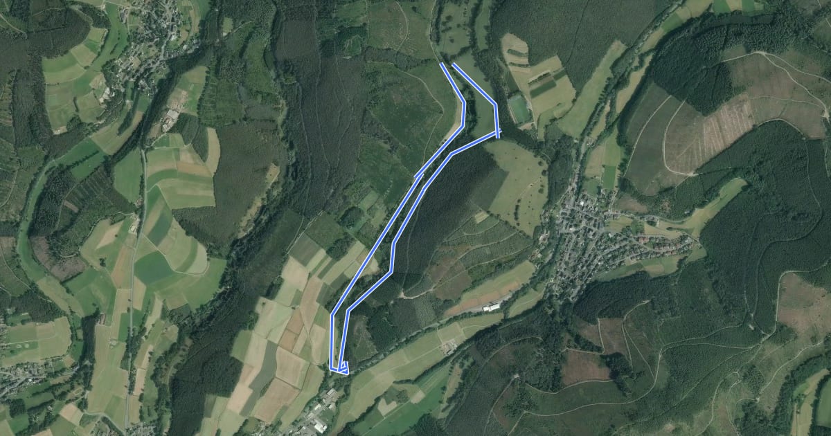 Маршрут Leimbachtal Rundweg A1 на спутниковом снимке