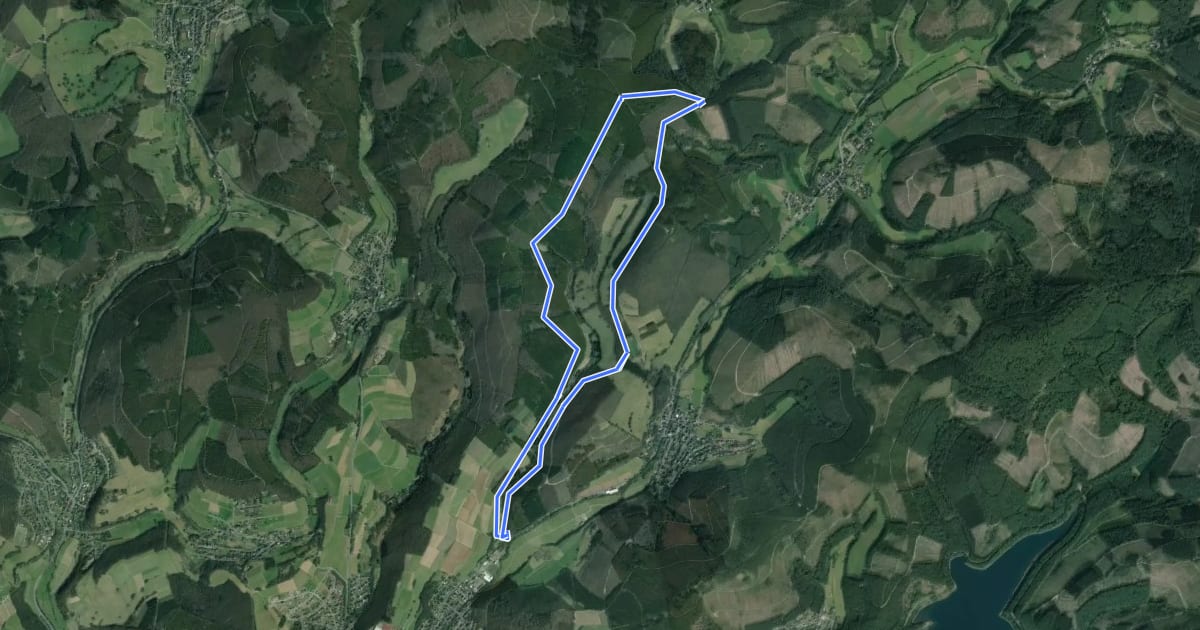 Маршрут Leimbachtal Rundweg A2 на спутниковом снимке