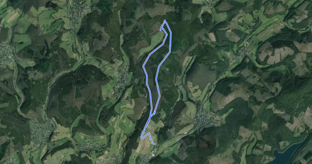 Маршрут Leimbachtal Rundweg A3 на спутниковом снимке
