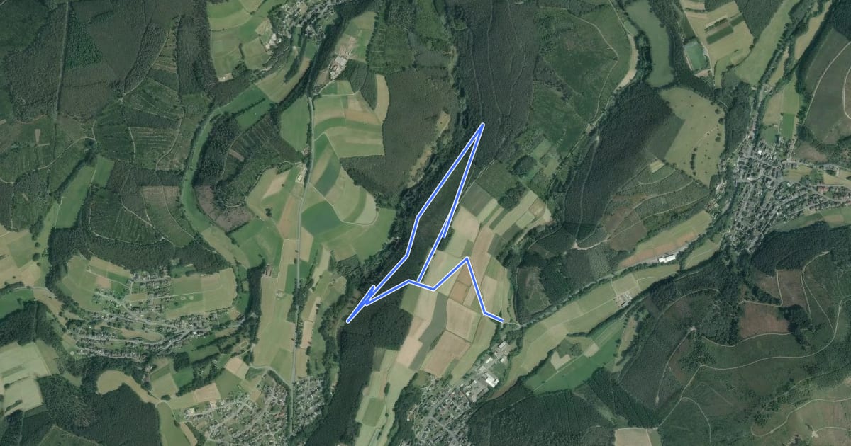 Маршрут Leimbachtal Rundweg A4 на спутниковом снимке