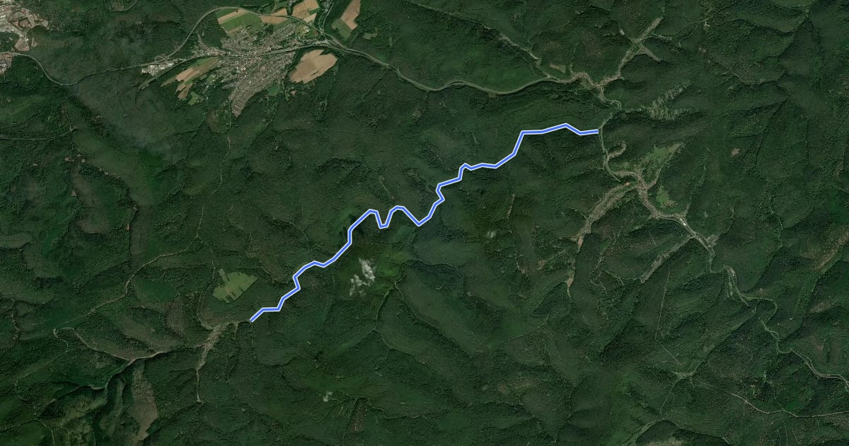 Маршрут Leinbachtalradweg на спутниковом снимке