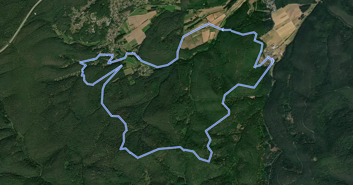 Маршрут Leininger Klosterweg на спутниковом снимке