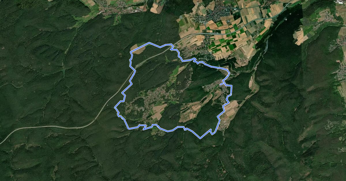 Маршрут Leininger Wanderweg на спутниковом снимке